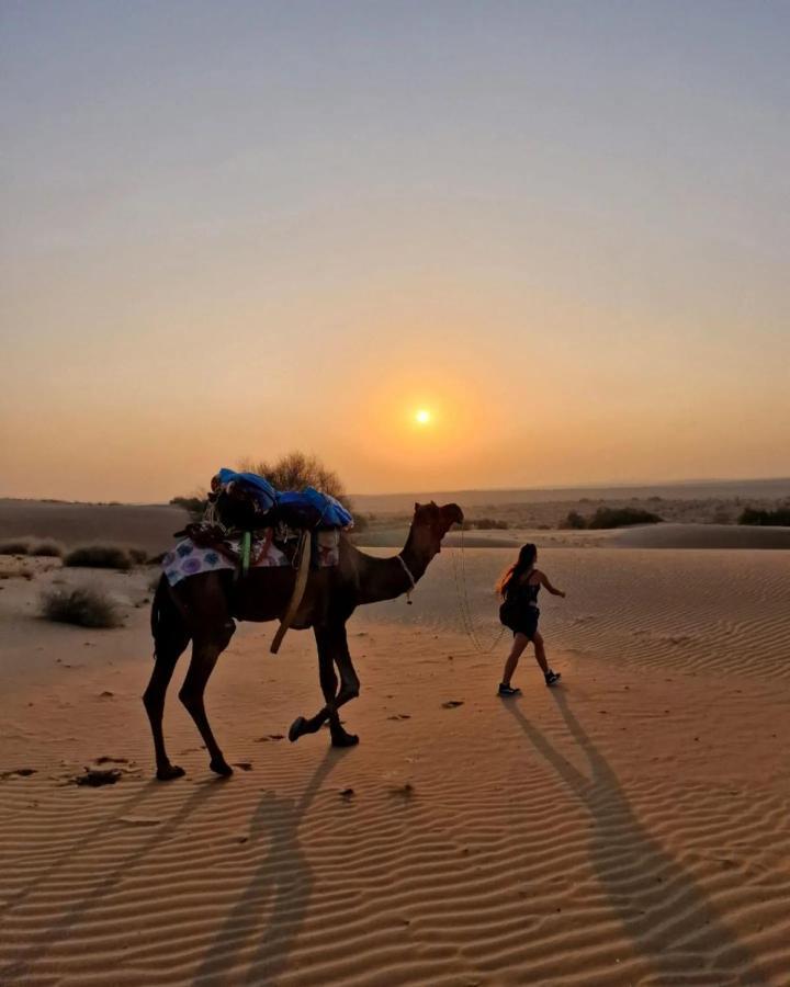 Marigold Jaisalmer