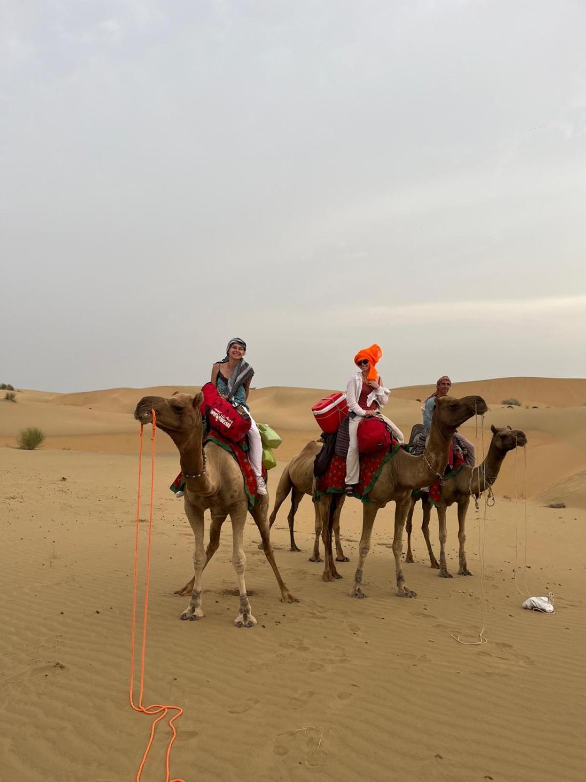 Marigold * Jaisalmer
